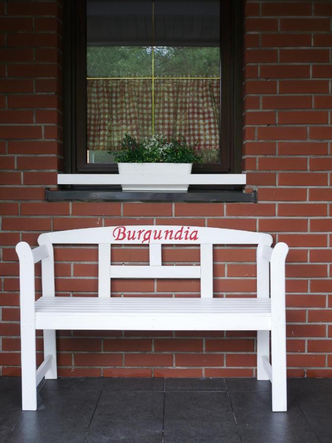 Niewinne Domki - Burgundia Żywiec 外观 照片
