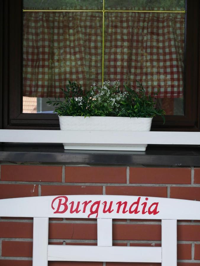 Niewinne Domki - Burgundia Żywiec 外观 照片